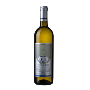 Weingut Österreich, Wein aus Österreich, Wein Burgenland, Übernachtung im Burgenland, Urlaub im Weingut, Urlaub am Neusiedlersee