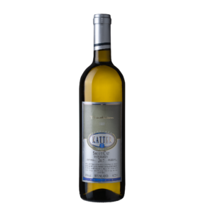 Weingut Österreich, Wein aus Österreich, Wein Burgenland, Übernachtung im Burgenland, Urlaub im Weingut, Urlaub am Neusiedlersee